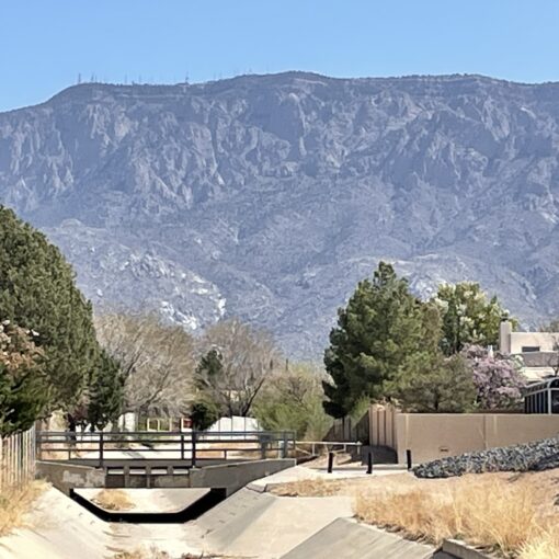 Week of March 31 2025