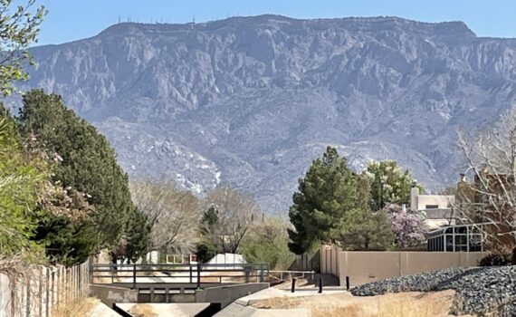 Week of March 31 2025