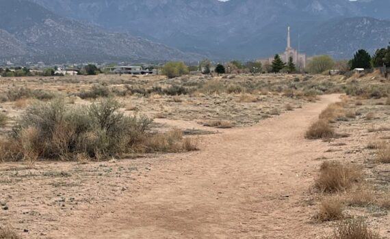 Week of April 14th 2025