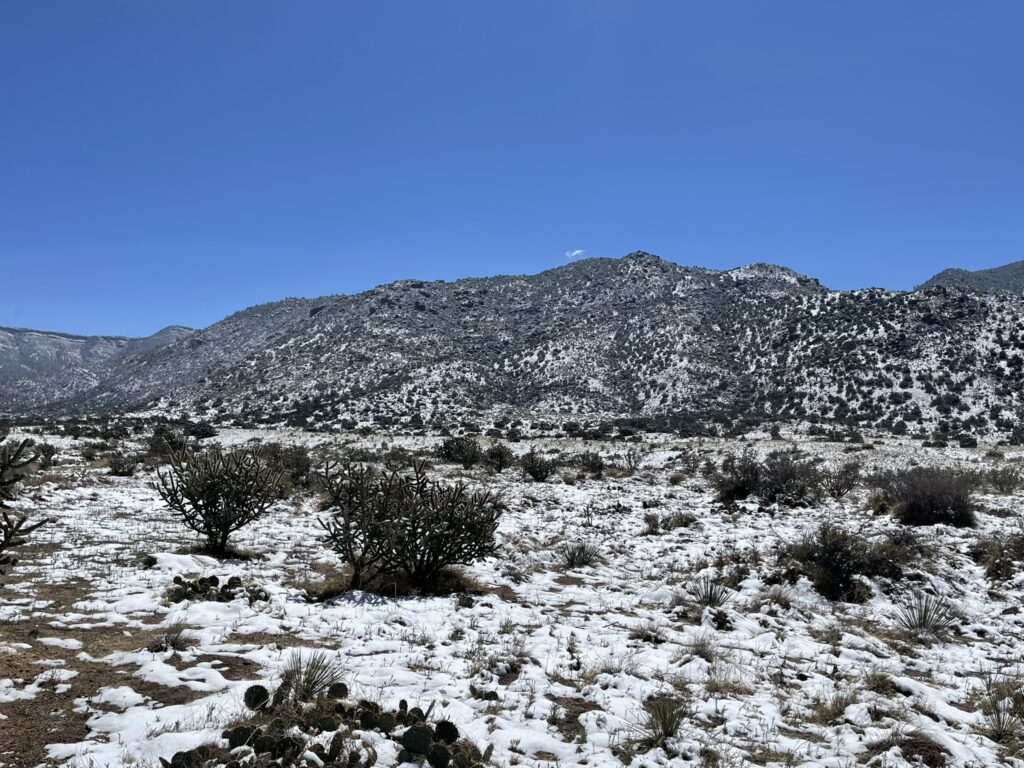 Easter Sunday Snow in Albuquerque