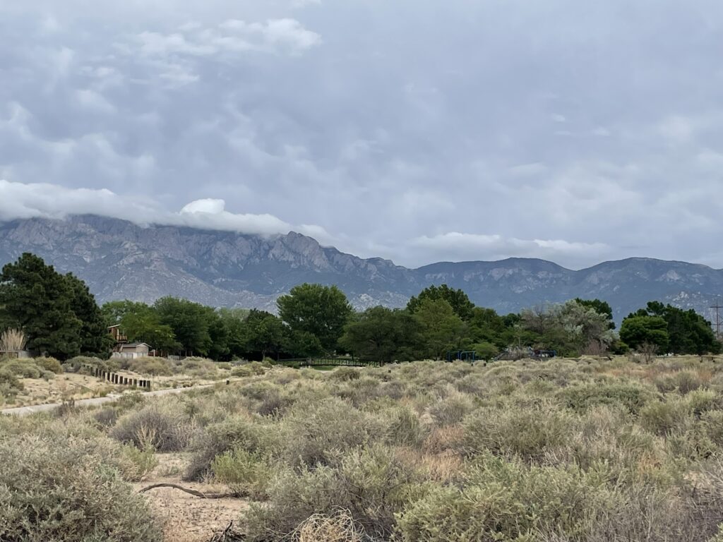 Training Log - Week of June 2nd, 2025