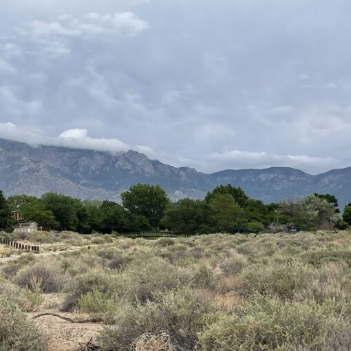 Training Log - Week of June 2nd, 2025