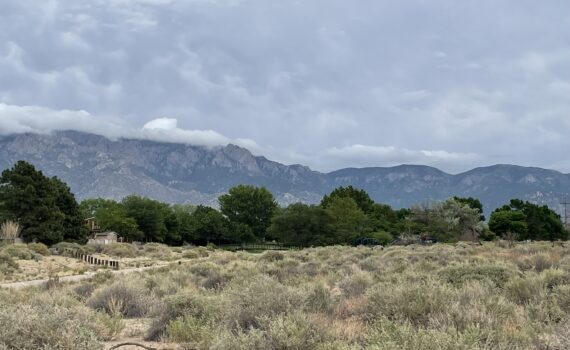 Training Log - Week of June 2nd, 2025