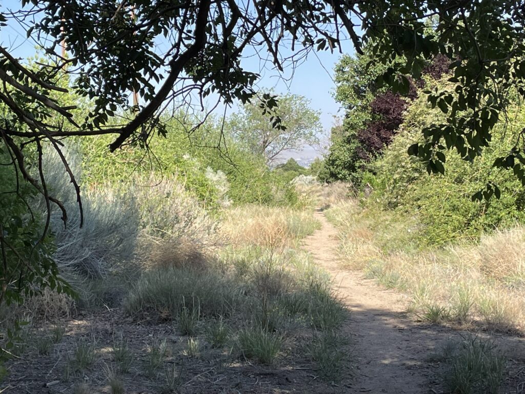 Training Log - Week of June 9th, 2025