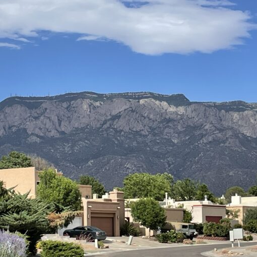 Training Log - Week of June 23rd, 2025