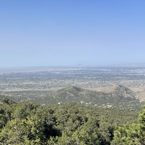 Altitude's Impacts on Runners