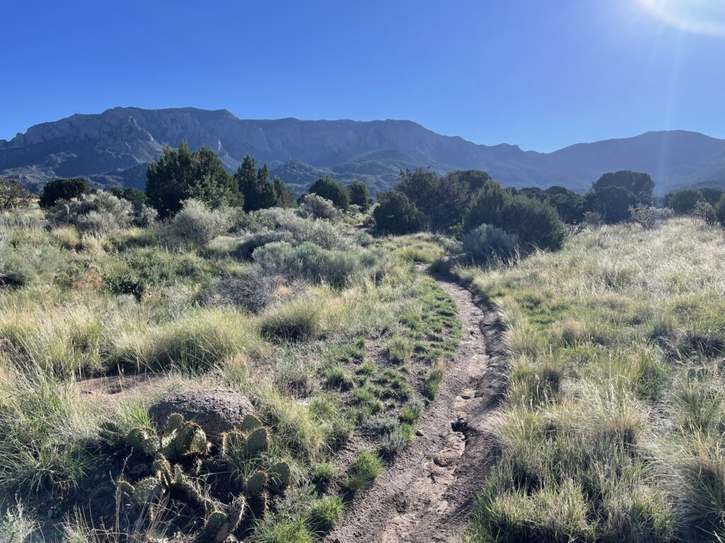 Best Surfaces to Run On