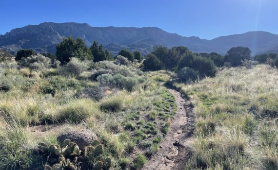 Best Surfaces to Run On