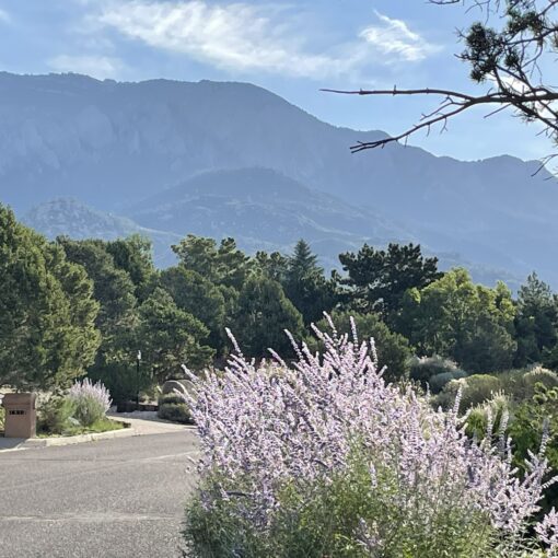 Training Log - Week of July 14th 2025