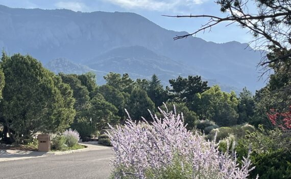 Training Log - Week of July 14th 2025