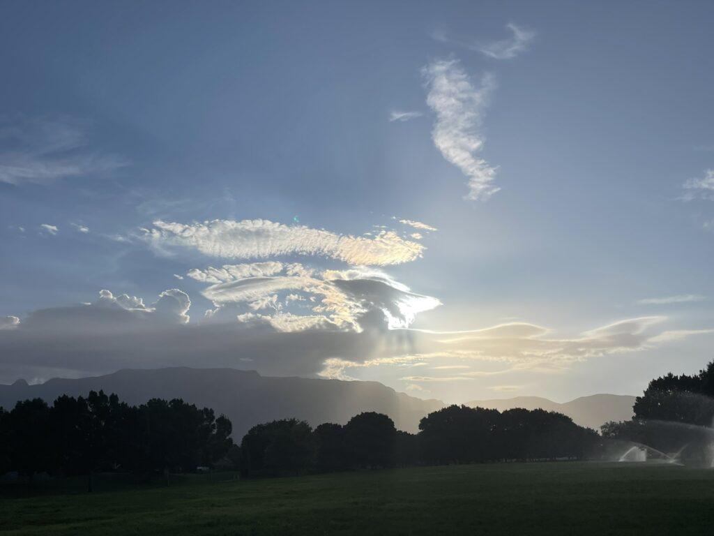 Training Log - Weeks of July 21st, 2025