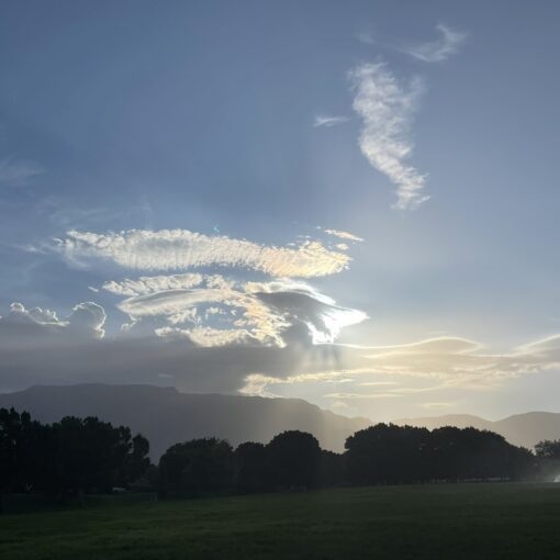 Training Log - Weeks of July 21st, 2025