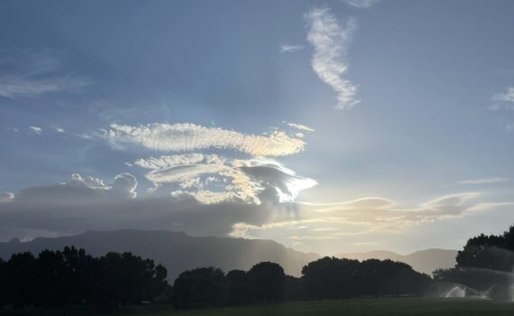 Training Log - Weeks of July 21st, 2025