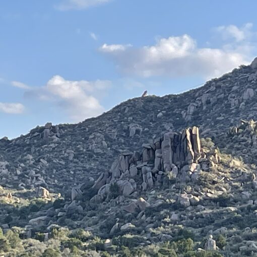 Training Loge for the Week of August 11th, 2025