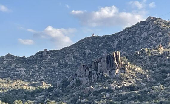 Training Loge for the Week of August 11th, 2025