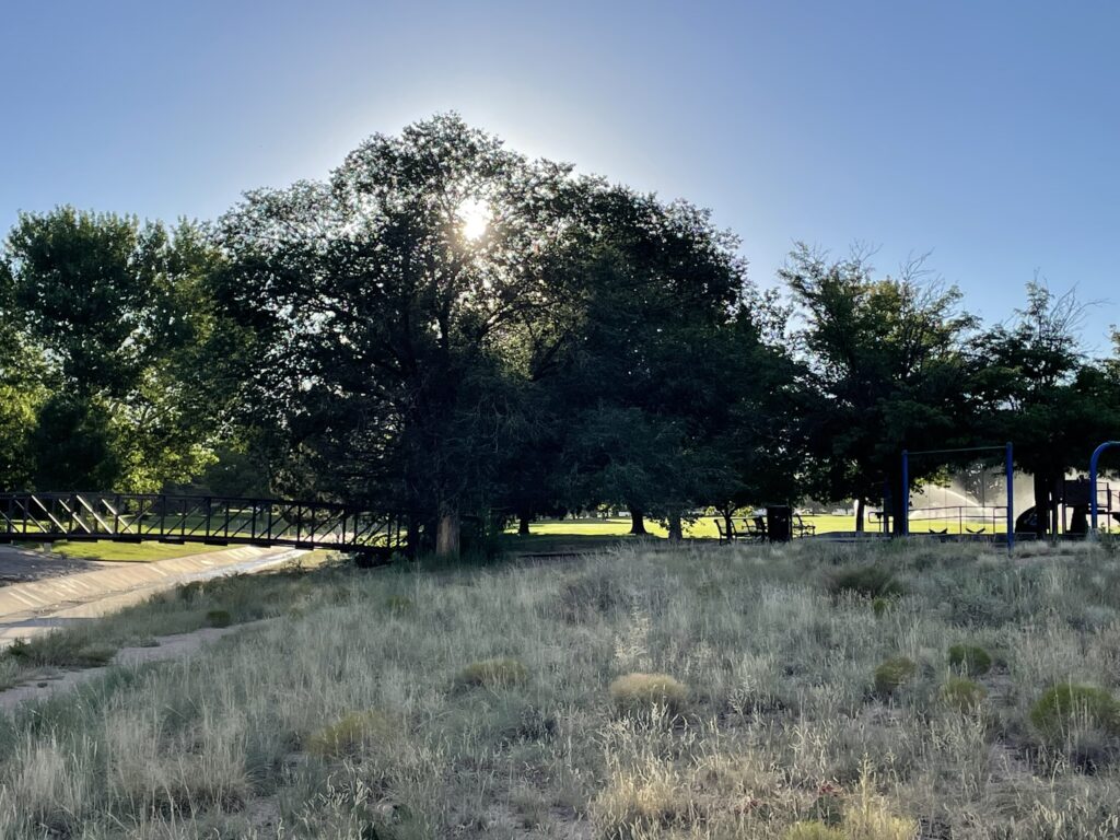 Training Log for the Week of August 18th