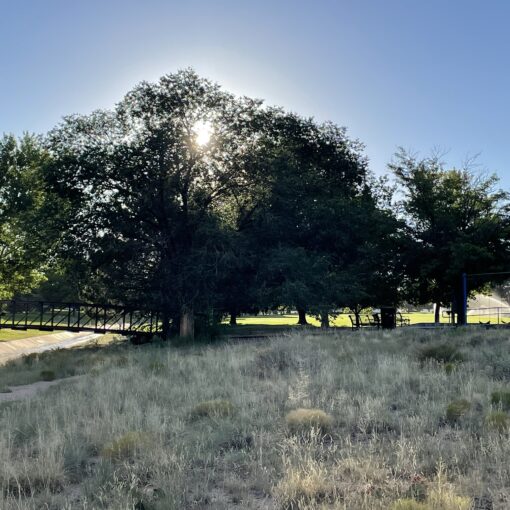 Training Log for the Week of August 18th