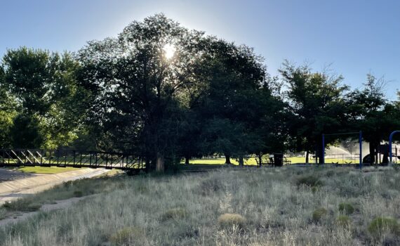 Training Log for the Week of August 18th