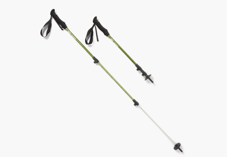 REI Trailmade Trekking Poles