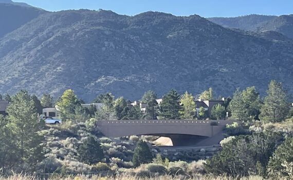 Training Log for the Week of September 8th, 2025