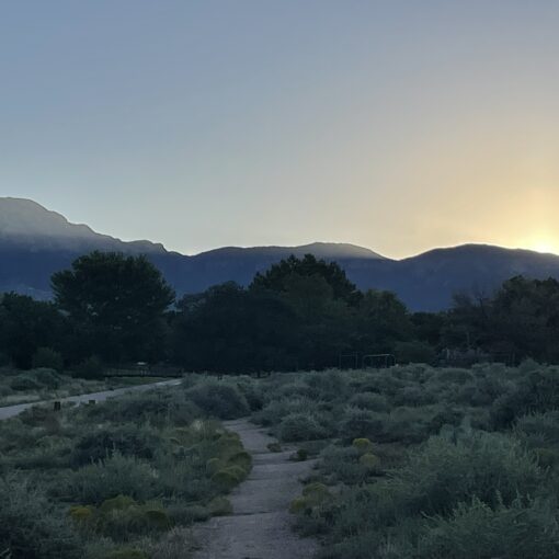 Training Log for the Week of September 15th, 2025