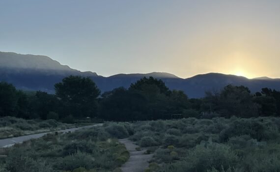 Training Log for the Week of September 15th, 2025