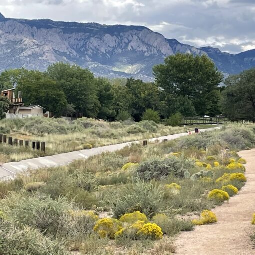 Training Log for the Week of September 22nd, 2025