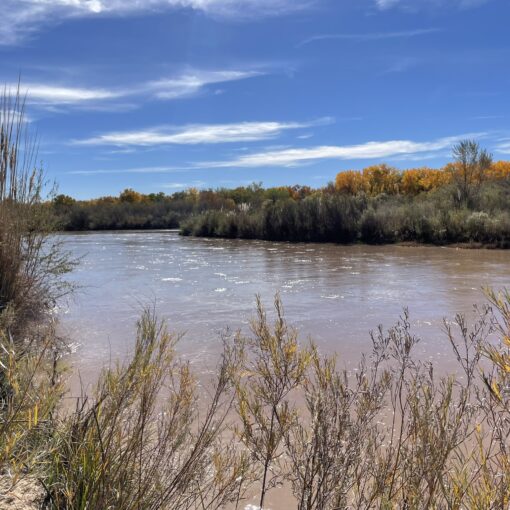 Training Log for the Week of November 10th, 2025