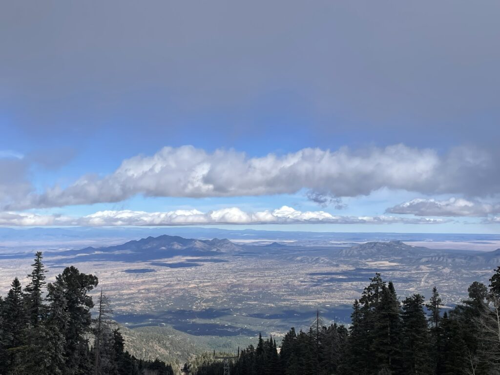 Training Log for the Week of November 17th, 2025