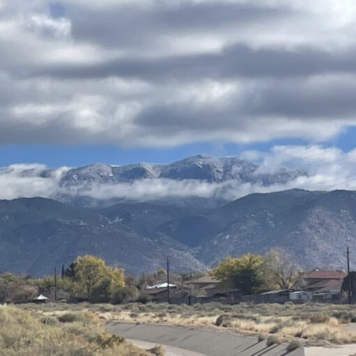 Training Log for the Week of November 24th