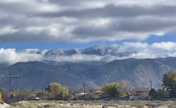 Training Log for the Week of November 24th