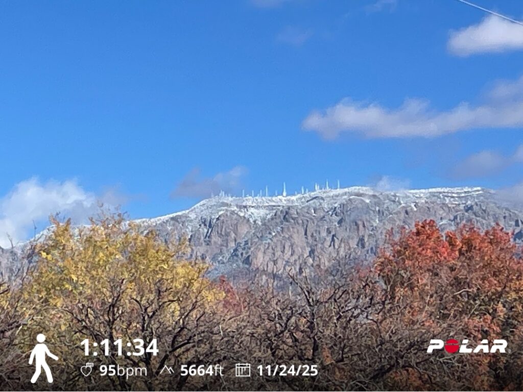 Training Log for the Week of November 24th, 2025