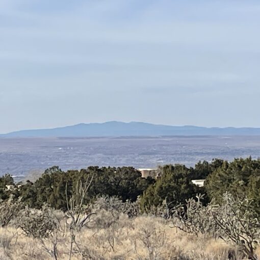 Training Log for the Week of December 15th, 2025