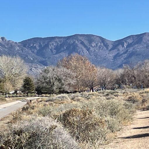 Training Log for the Week of December 22nd, 2025