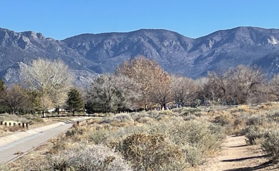 Training Log for the Week of December 22nd, 2025