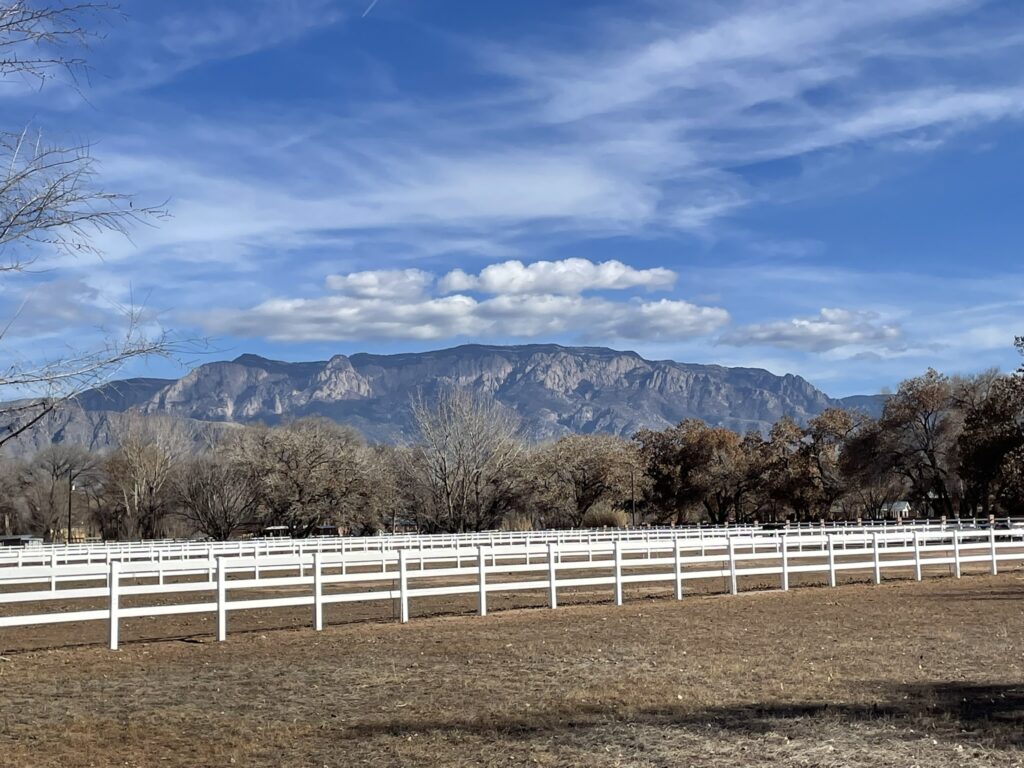 Training Log for the Week of January 5th, 2026