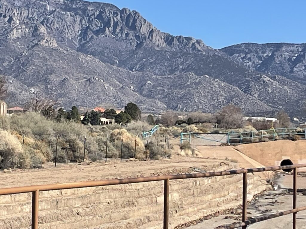 Training Log for the Week of February 2nd 2026