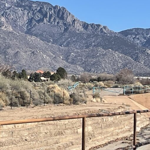 Training Log for the Week of February 2nd 2026