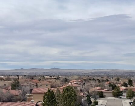 Training Log for the Week of February 16th, 2026