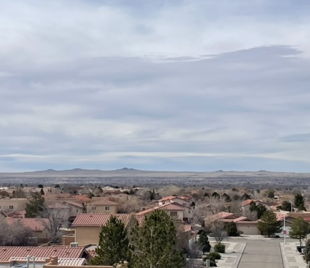 Training Log for the Week of February 16th, 2026