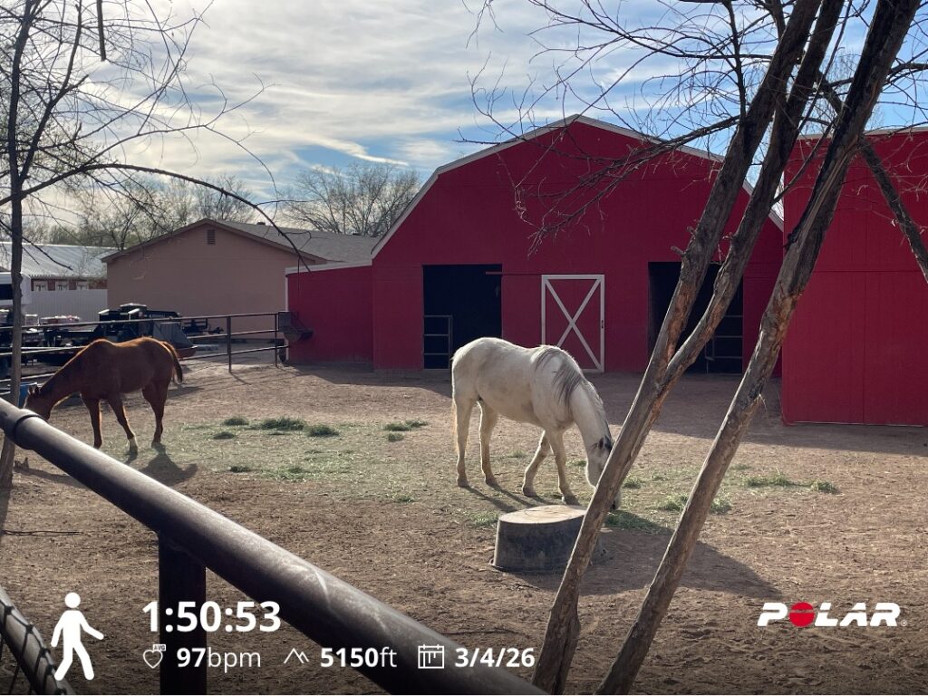 Training Log for the Week of March 2nd 2026