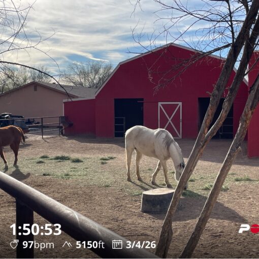 Training Log for the Week of March 2nd 2026