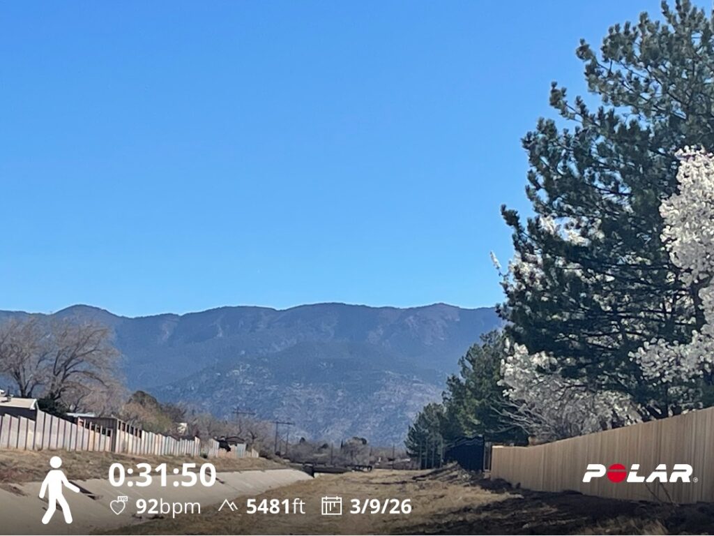Training Log for the Week of March 9th, 2026