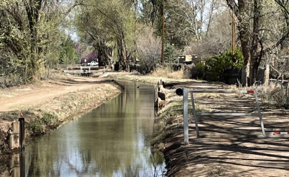 Training Log for the Week of March 23rd, 2026