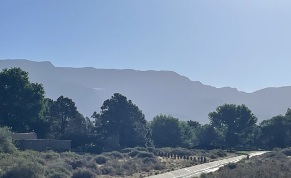 Training Log for the Week of May 11th
