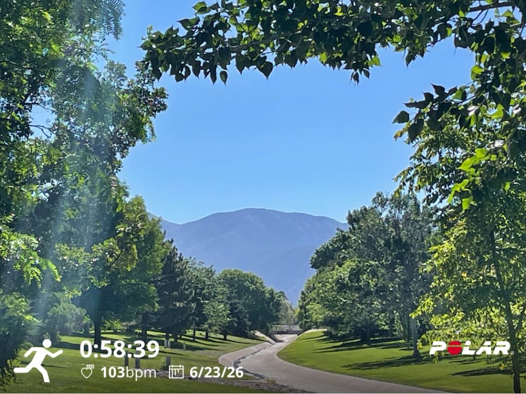 Last Shade Before Finishing the Run