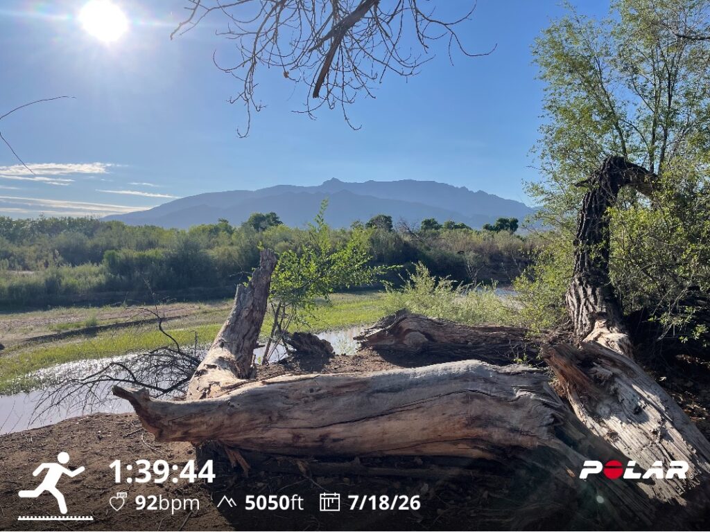 The Rio Grande from the Corrales Bosque