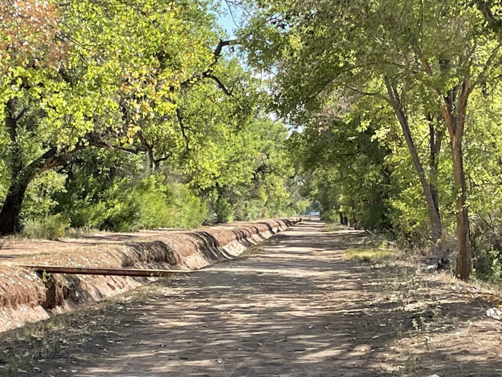 Corrales Bosque, New Mexico