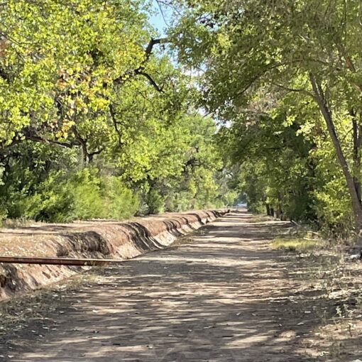 Corrales Bosque, New Mexico
