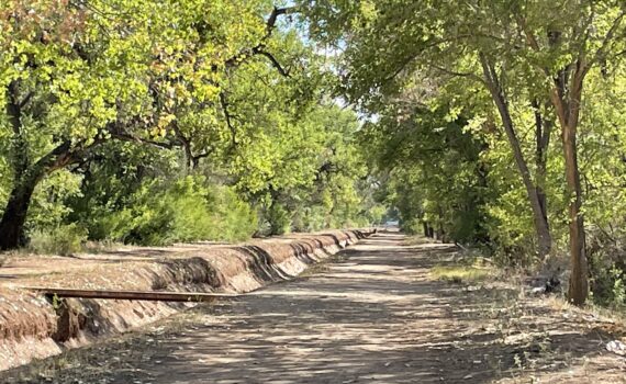 Corrales Bosque, New Mexico